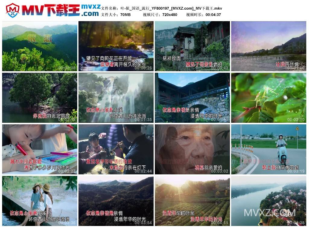 叶-依_国语_流行_YF800197